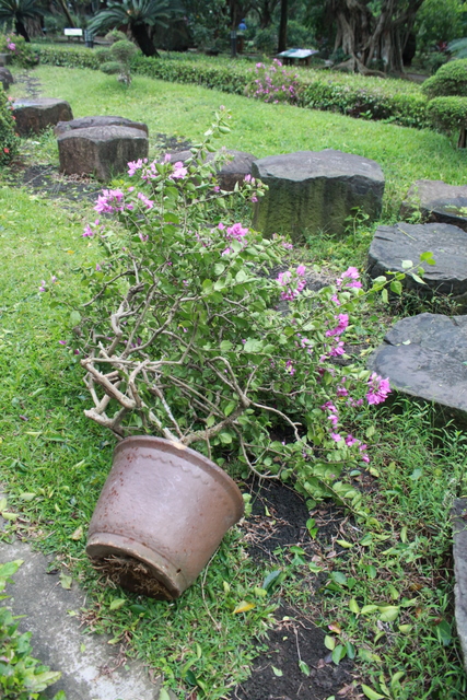“ 納沙”的印記