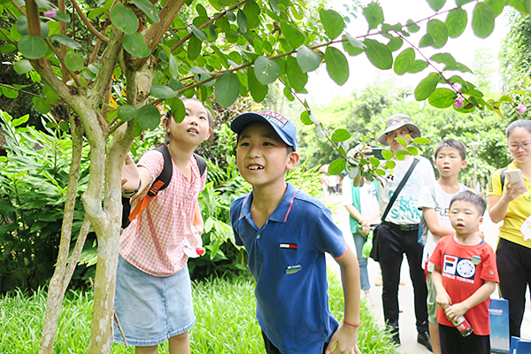 3、孩子們在觀察植物生長特性.jpg